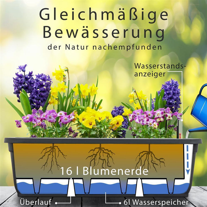 Blumenkasten 3er Set, Anthraziit, 80cm