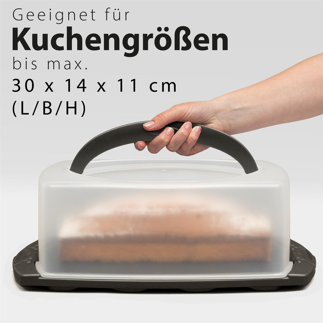 Kuchentransportbox rechteckig