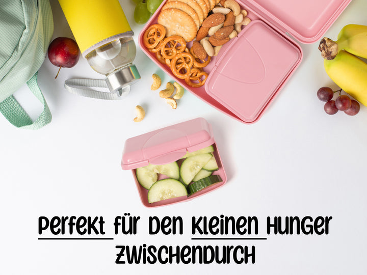 Brotdosen 6er Set flach