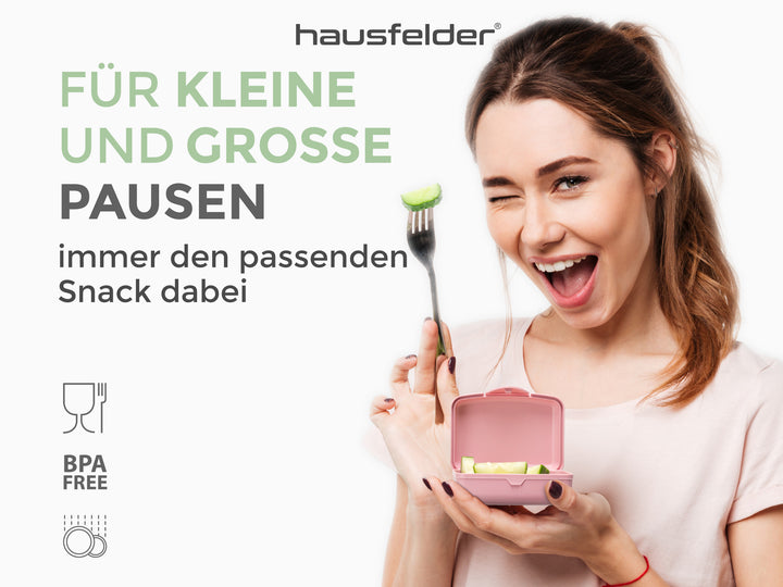 Brotdosen 6er Set flach