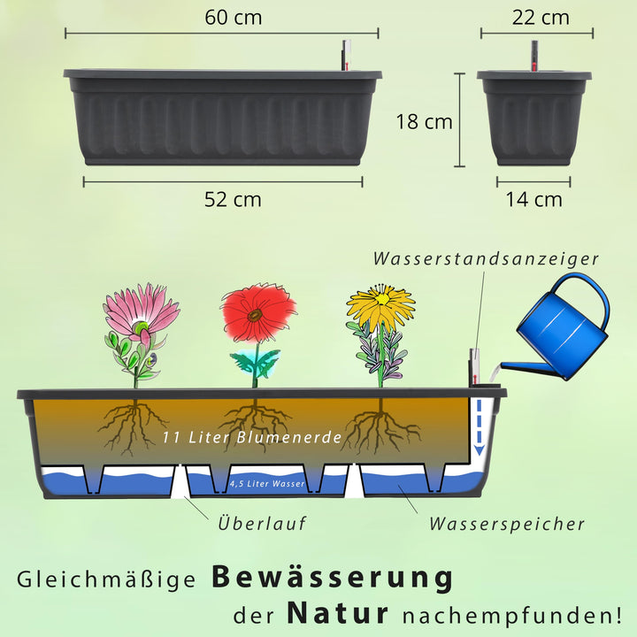 Blumenkasten 1 x 60cm, Anthrazit