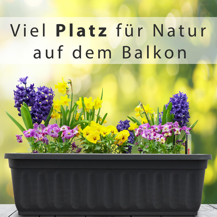 Blumenkasten 1 x 60cm, Anthrazit