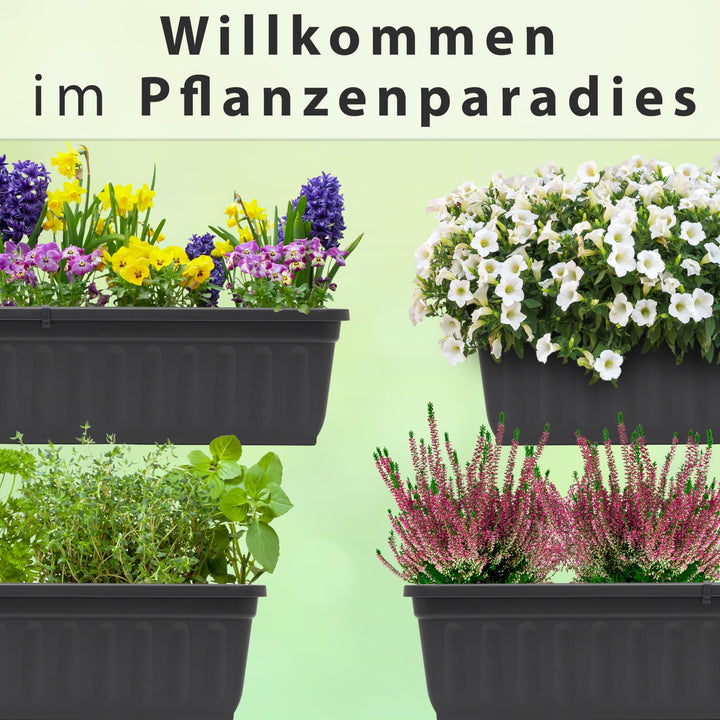 Blumenkasten 1 x 60cm, Anthrazit